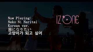 IZ*ONE (아이즈원) - Neko Ni Naritai/猫になりたい/고양이가 되고 싶어 (Korean Version) - Kpop Goes Punk!