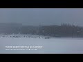 1hour Sakamoto Ryuichi Merry Christmas Mr Lawrence Piano Cover