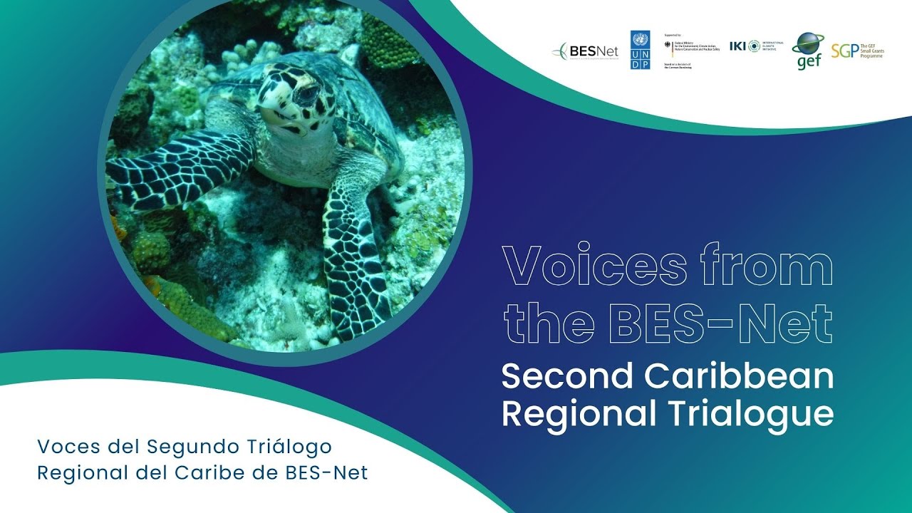 Voices from the Second Caribbean Regional Trialogue