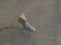 Peeing Pooch AFV Clip