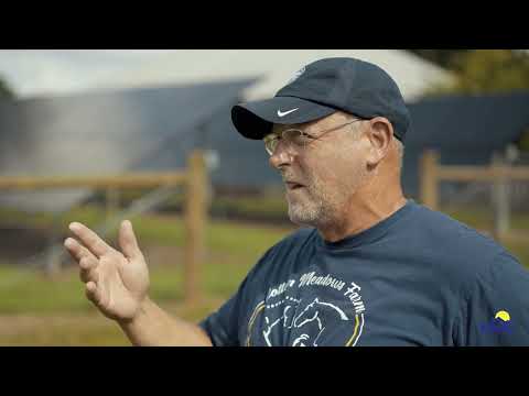 ReNew Solar Solutions: Customer Testimonial