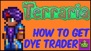 How To Get Dye Trader In Terraria | Terraria 1.4.4.9