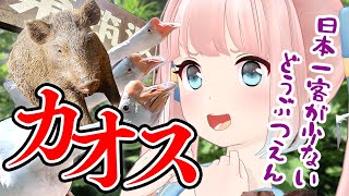 【東筑波ユートピア】大丈夫！？日本一客がいない動物園に潜入！！