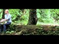 Delorentos - Care For 