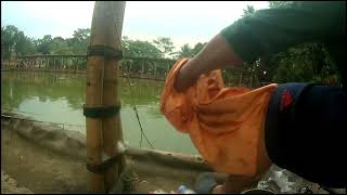 Download lagu Mancing ikan bawal di pemancingan ciawi 2 mp3 Download lagu Mancing ikan bawal di pemancingan ciawi 2 mp3