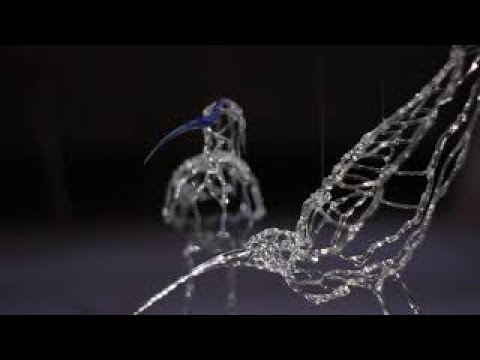 The Fading Call of the Curlew- Katie Spiers