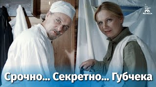 Срочно... Секретно... Губчека (1982)