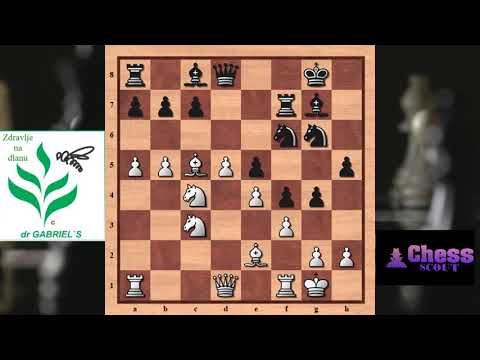 Lubomir Ftacnik vs Ognjen Cvitan 0 1 Bundesliga 1997 98 GER