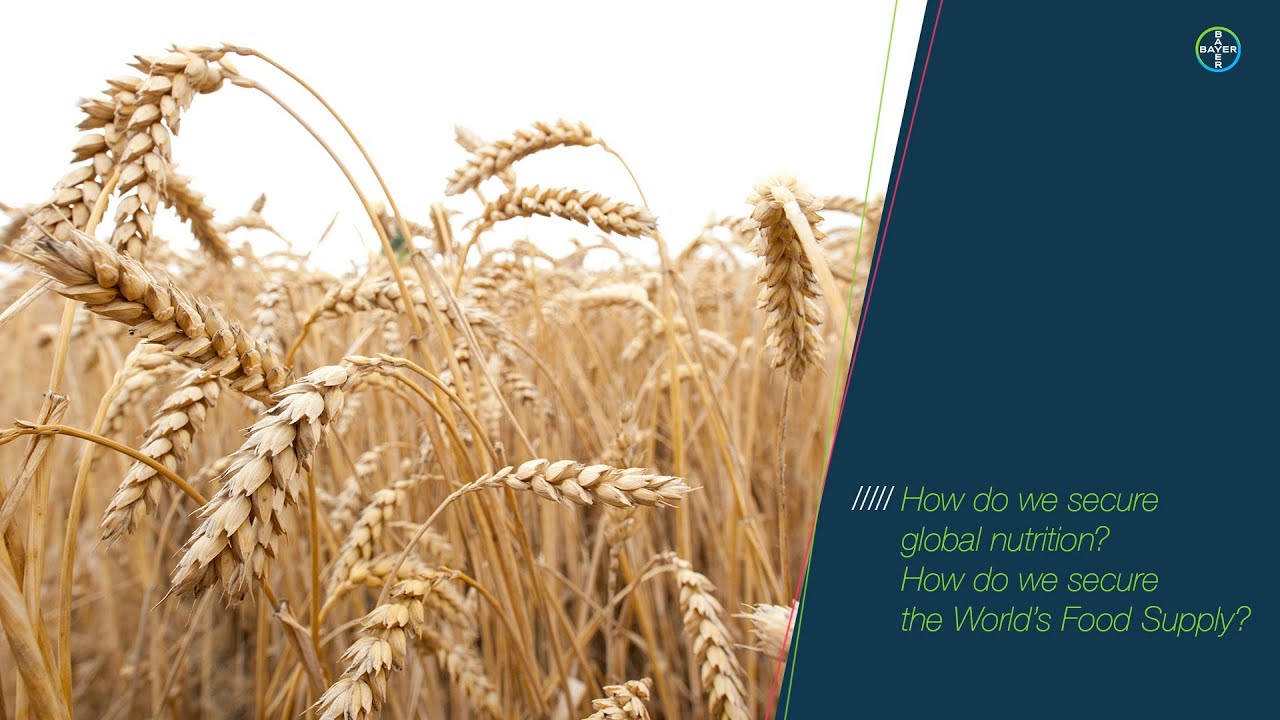 How do we secure global nutrition? How do we secure the World’s Food Supply?