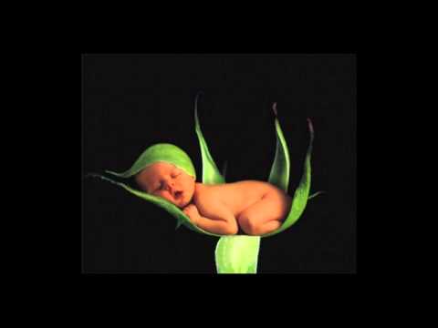 Sleep Music : Lullaby to Relax Your Baby No.1