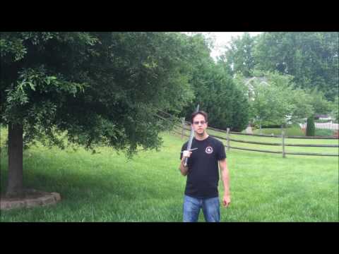 Longsword Guards: Introduction