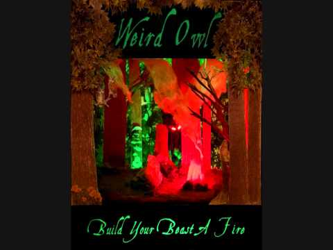 Weird Owl - Mirrors in the Mud