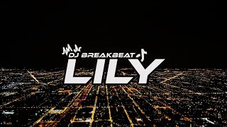 Download lagu DJ LILY BREAKBEAT FULLBASS TERBARU mp3 Download lagu DJ LILY BREAKBEAT FULLBASS TERBARU mp3