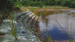 Ito na ba ang ipapalit natin sa Mahal at nakukurakot na FLOOD CONTROL Projects?
