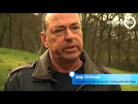 GLD Vandaag  3 maart 2016