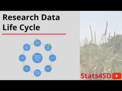 image-What is research data life cycle?