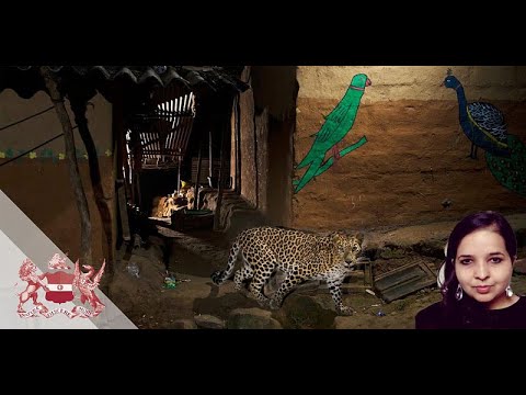 Crooked Cats: Beastly Tales from India | Nayanika Mathur