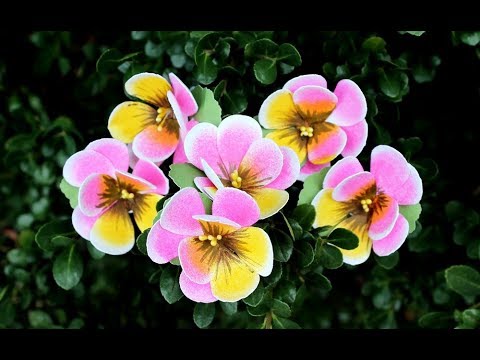 Paper Flower Making - Paper Pansies By Archana Joshi (EK Sucess)