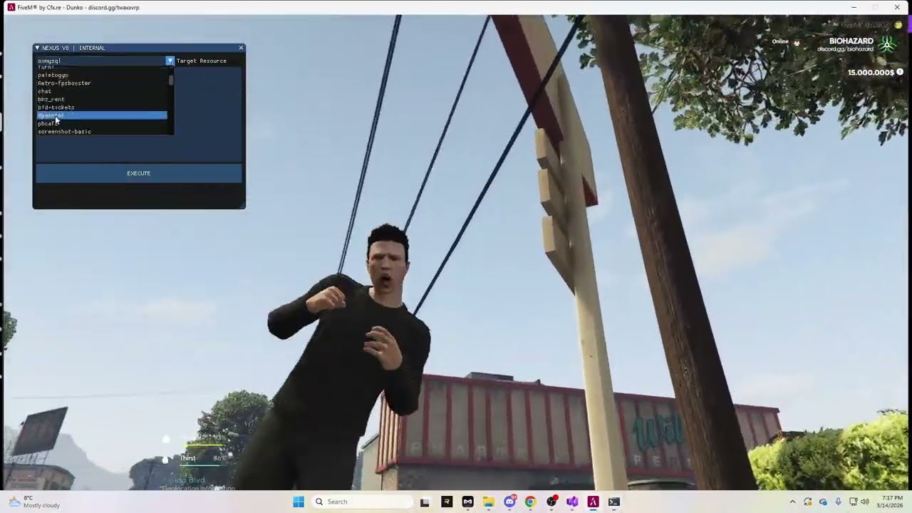 How to make your own fivem lua executor/fivem cheat