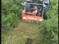 Click to View : MINIFORST - clearing between forest plantations