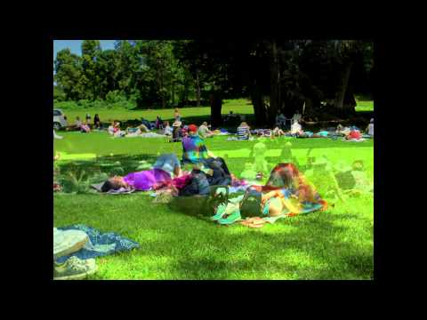 Quantum Allowing in Kauai, April 2014