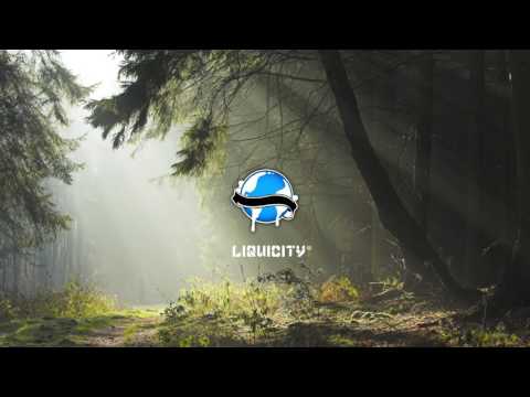 Modest Intentions - Broken Element