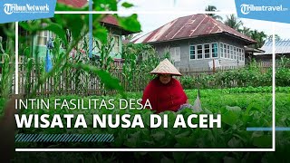 Intip Fasilitas Desa Wisata Nusa di Aceh, Hasil Pemberdayaan Masyarakat yang Masuk dalam Daftar ADWI