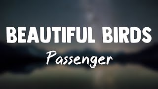 Beautiful Birds (Feat. Birdy) - Passenger(Letra)❣