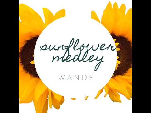 Sunflower x Beautiful - Post Malone, Swae Lee, Bazzi & Camila Cabello (@OMGitsWande Medley Cover)