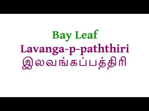 How to pronounce Bay Leaf in Tamil