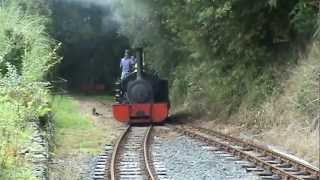 preview picture of video 'Launceston Steam Railway 22nd September 2010'