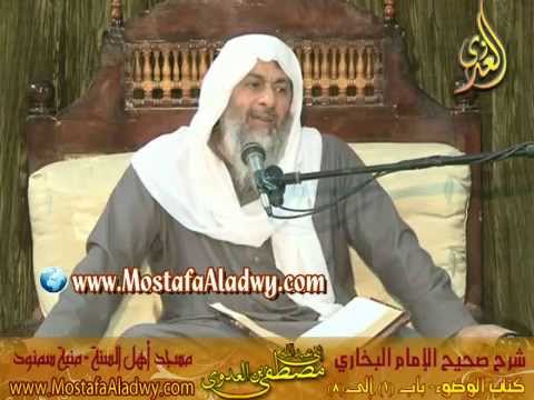  البخاري (32) ” لا تقبل صلاة بغير طهور ” كتاب الوضوء ـ باب (1-8) الشيخ مصطفى العدوي 