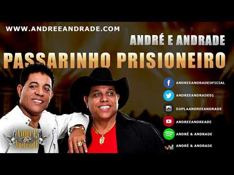 Passarinho Prisioneiro - André & Andrade