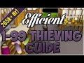 Efficient 1-99 Thieving Guide | Oldschool 2007 ...