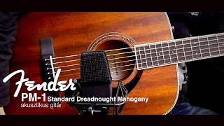 Video thumbnail for Fender PM-1 Standard Dreadnought Mahogany akusztikus gitár by HangszerPláza