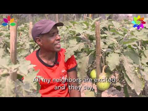 Md. Milon Mia, Bangladeshi Bt brinjal farmer sharing his experience.