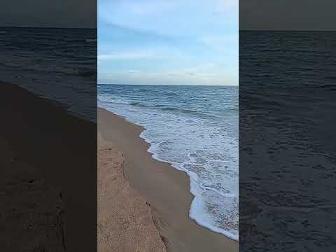 பருத்தித்துறை கடற்கரை | Point Pedro Beach Ilakkiya Surabi | Tamil Poetry & Literary Art is live