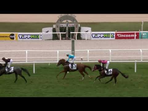 2022.11.06. Napi összefoglaló