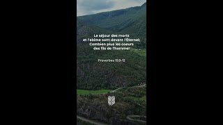 Poursuivre la justice selon Proverbes 15:9 #labible #BibleVision