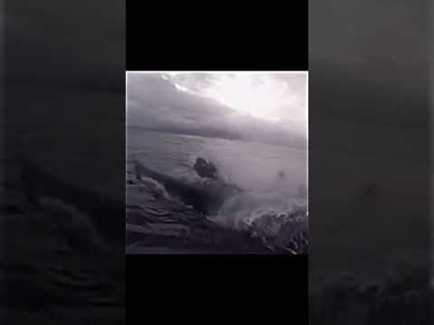 75th RANGERS IN MISSION #rangersarmy #army #armyranger #infantry #america