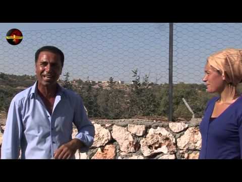 Indravuz Bagandi - Aylin