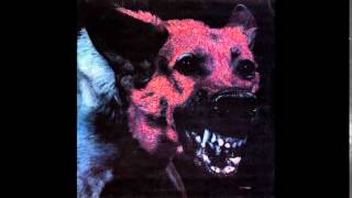 Protomartyr-Maidenhead