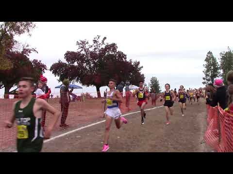 California State Meet Cross Country Boys D2 race 2019