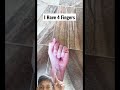 4 Fingers 4444444444444 Fingers 5