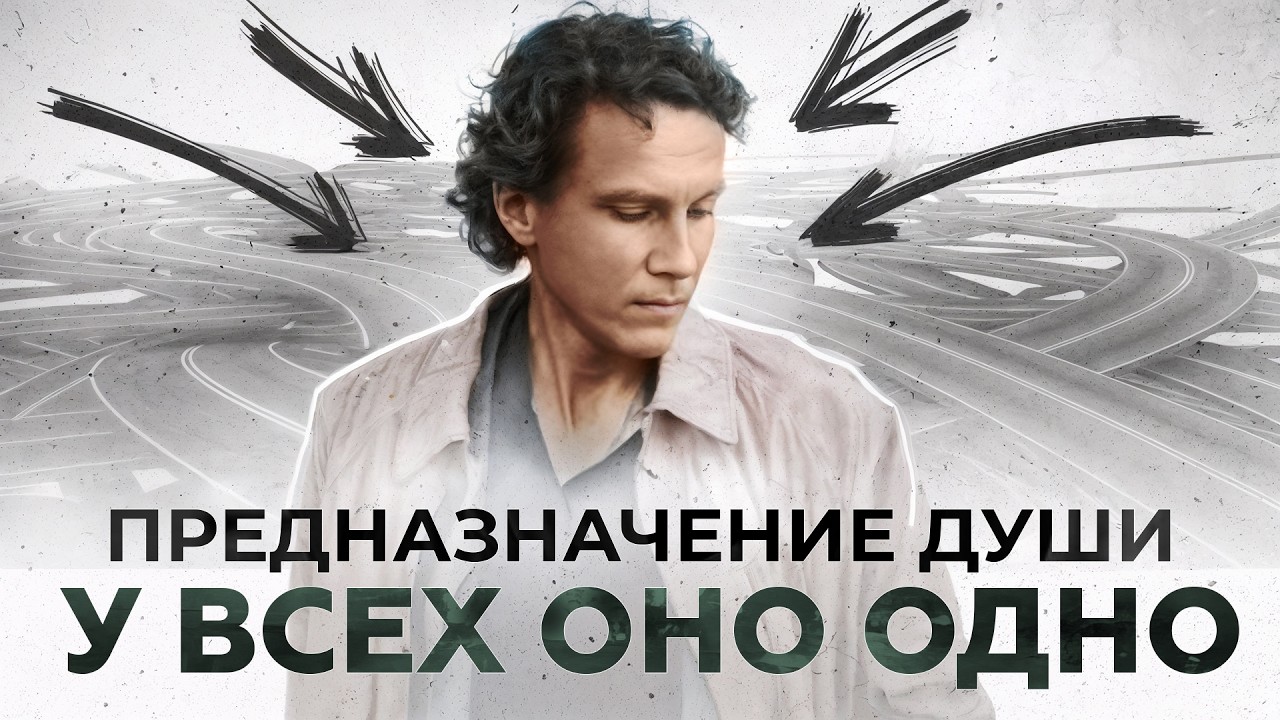 Видеоразбор «Главная ложь о предназначении» — Александр Волчек