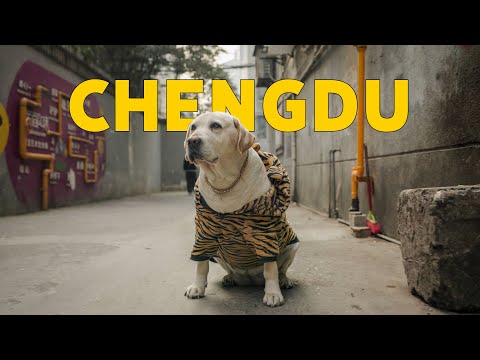 How I’d Spend 72 Hours in Chengdu, China