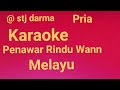 KARAOKE PENAWAR RINDU WANN NADA PRIA Stj Darma Versi Darlin Batu Bara