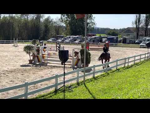 DOMINO (9yo Obos Quality) 1.10.21 Isny - 4. Platz SPR L 120 cm