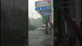 Download lagu hujan angin kencang wilayah Sidoarjo Sabtu sore. Akibatnya sebuah pohon tumbang dan mengenai mobil mp3