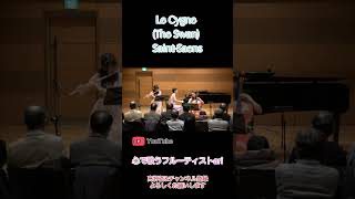 Download lagu フルートで聴く《白鳥》🕊️深呼吸したくなる癒しの音 mp3
